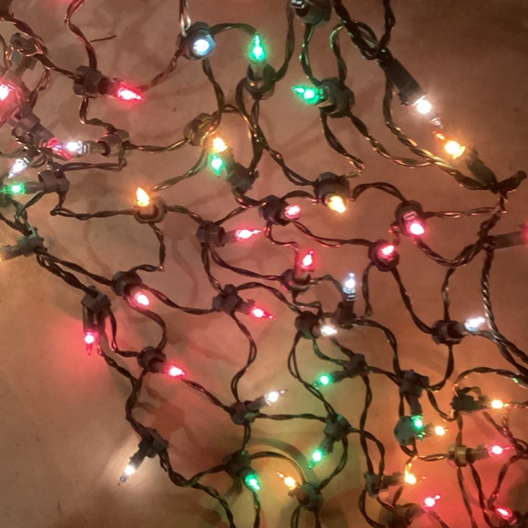 Multicolor Netted Holiday String Lights - Picture 2 of 2